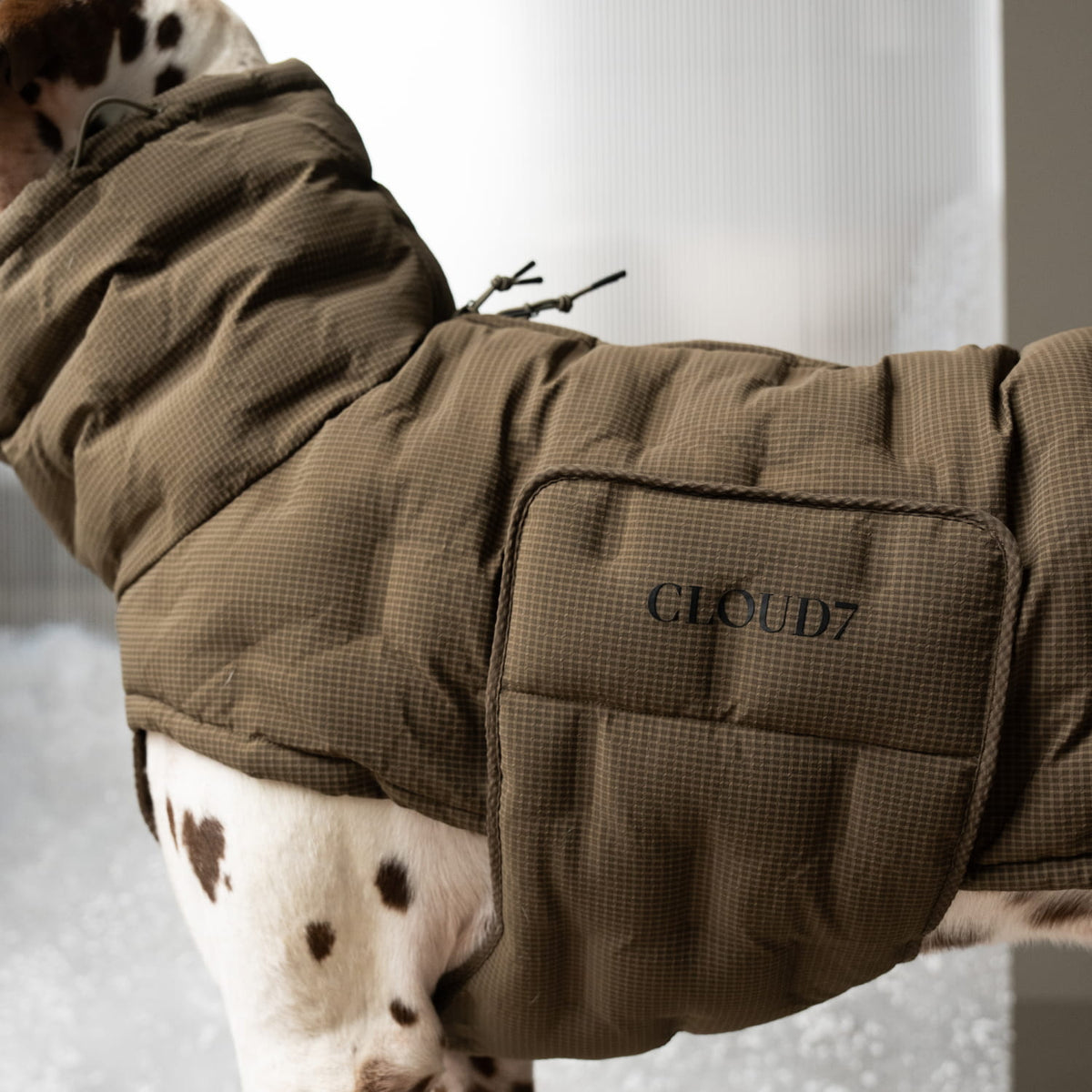 Dog Coat Alaska Seersucker Coffee