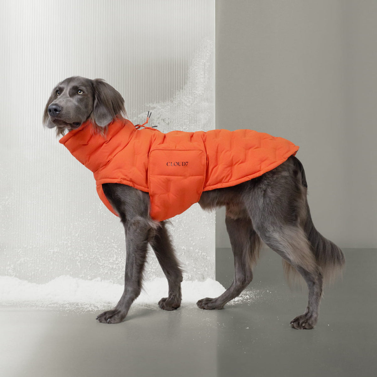 Dog Coat Alaska Seersucker Orange