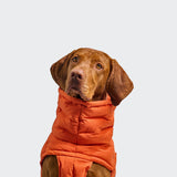 Dog Coat Alaska Seersucker Orange