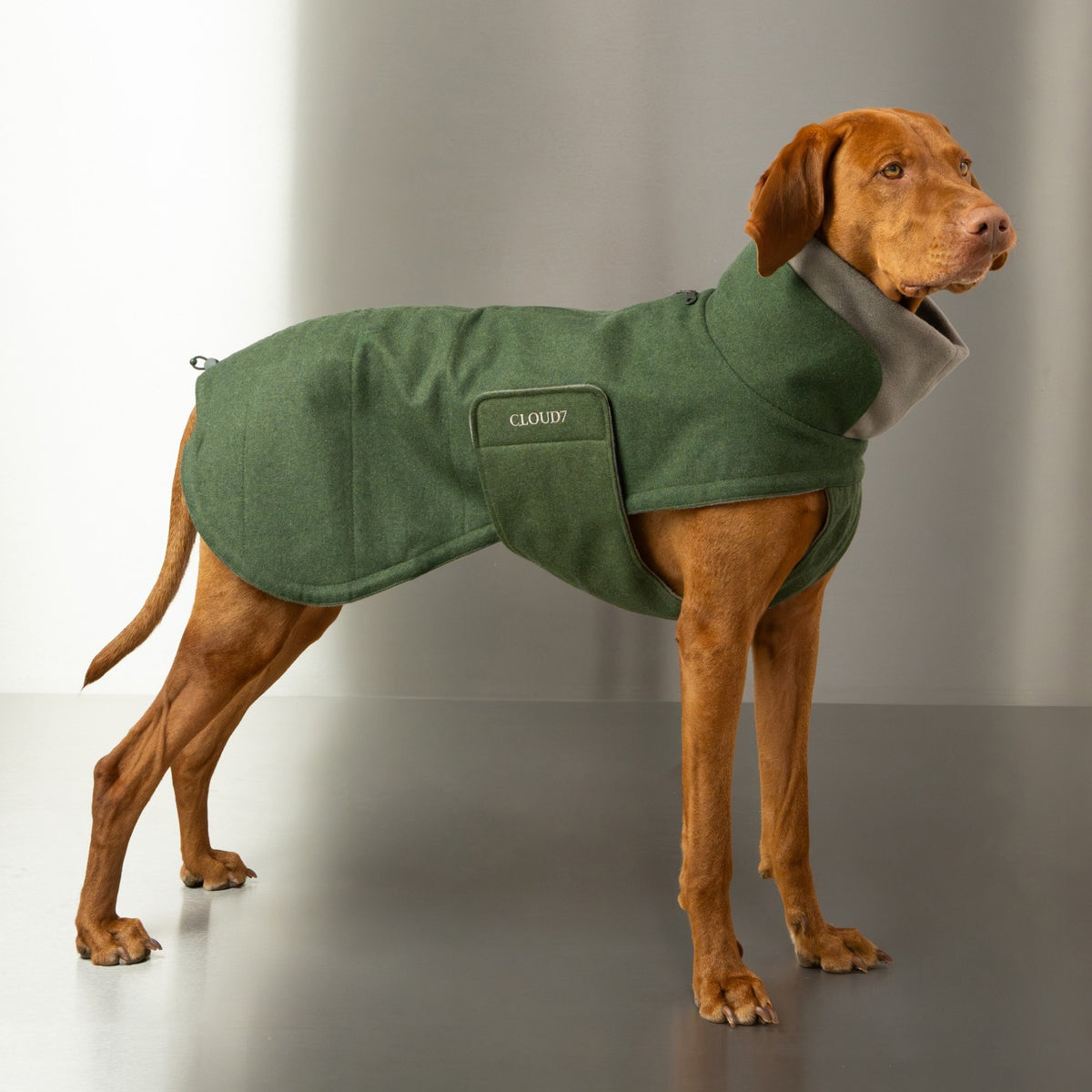 Dog Coat Brooklyn Long Flannel Fern Green