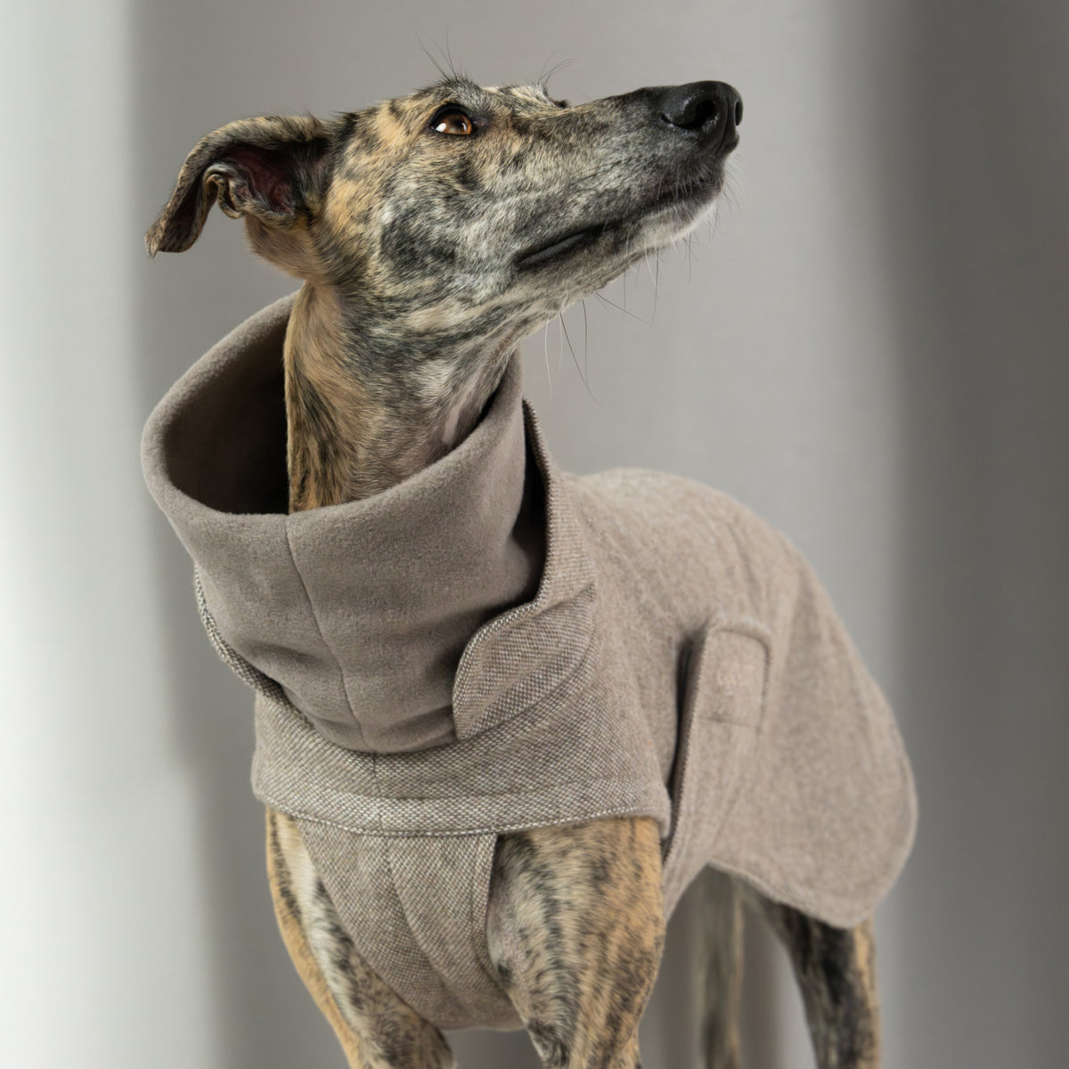 Dog Coat Brooklyn Long Tweed Beige