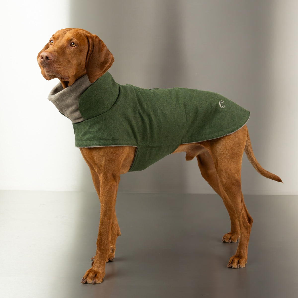 Dog Coat Brooklyn Flannel Fern Green