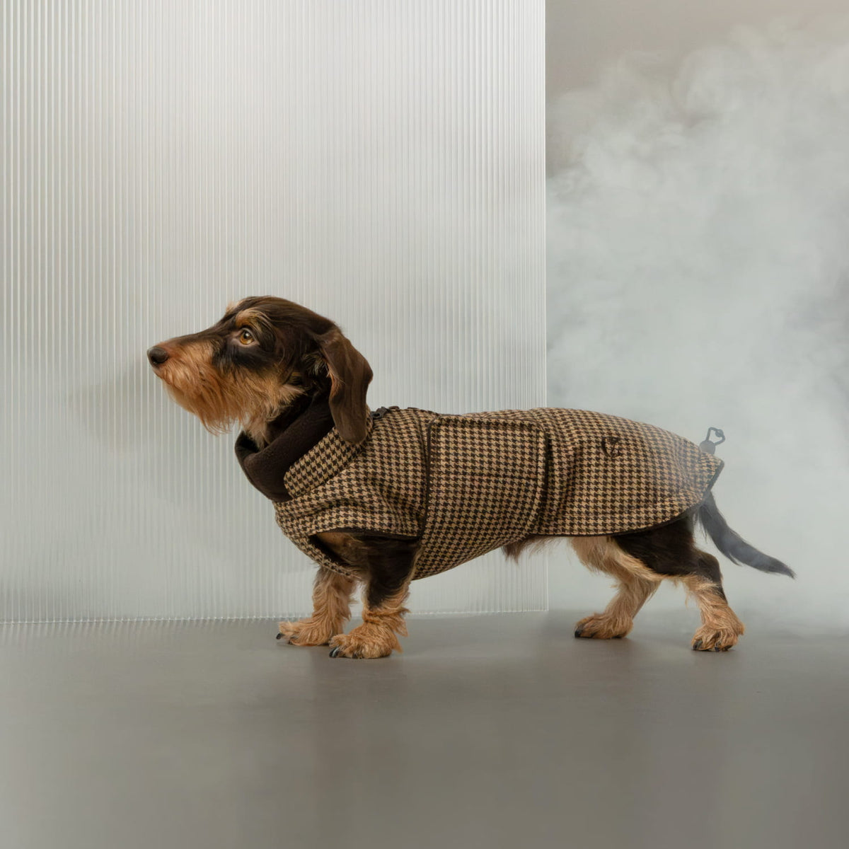 Dachshund Coat Brooklyn Houndstooth
