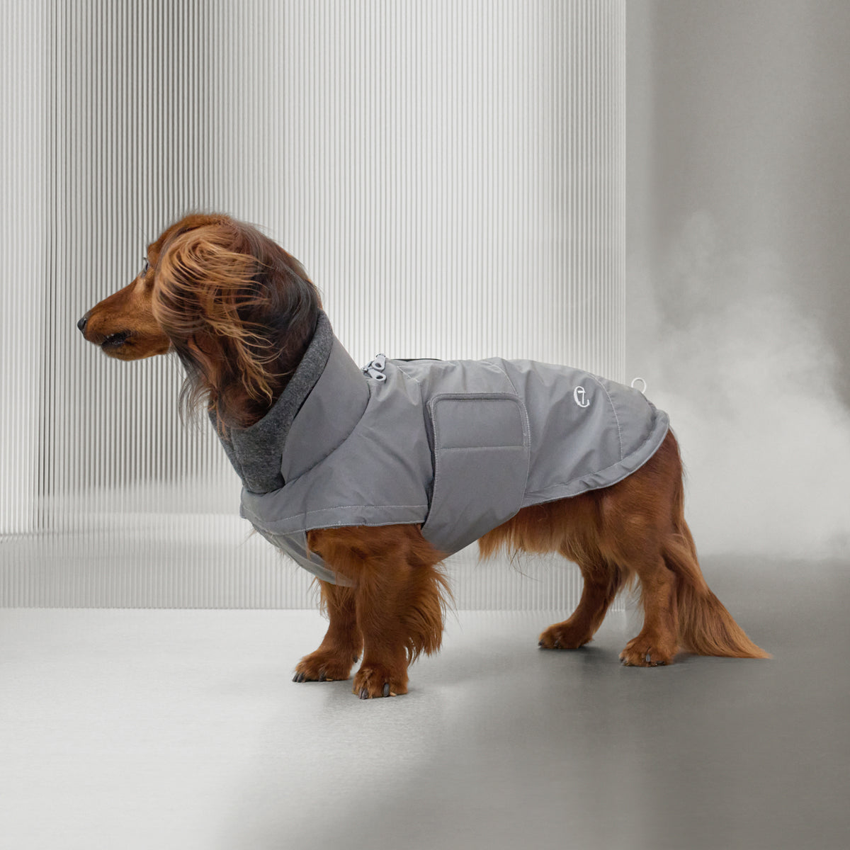Dachshund Coat Brooklyn Reflective