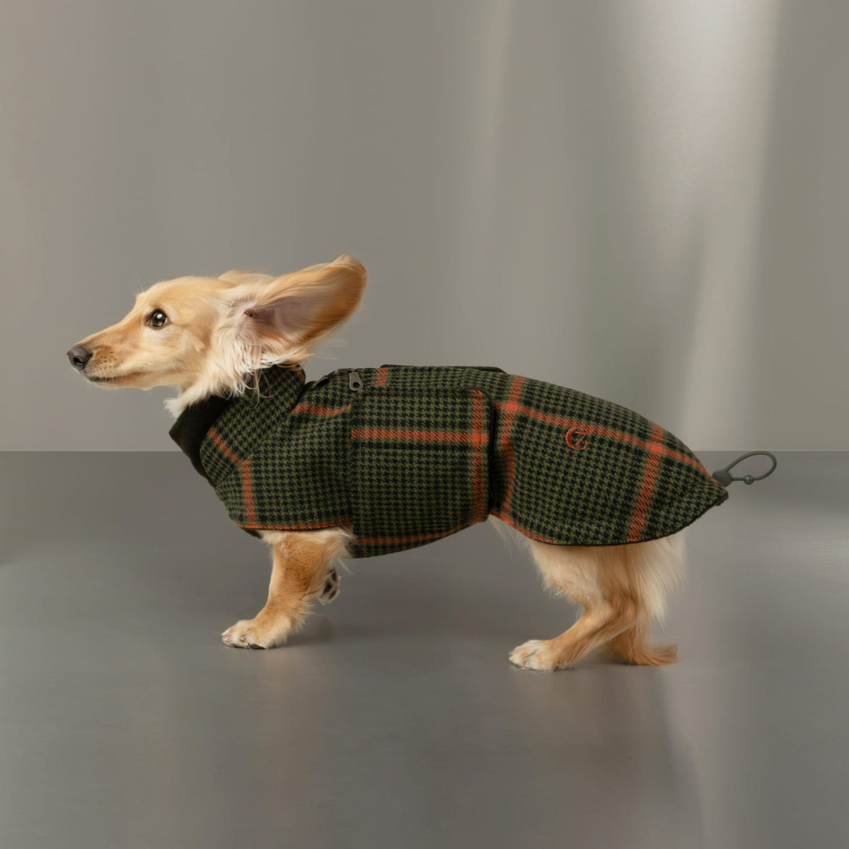 Dachshund Coat Brooklyn Flannel Tartan Green