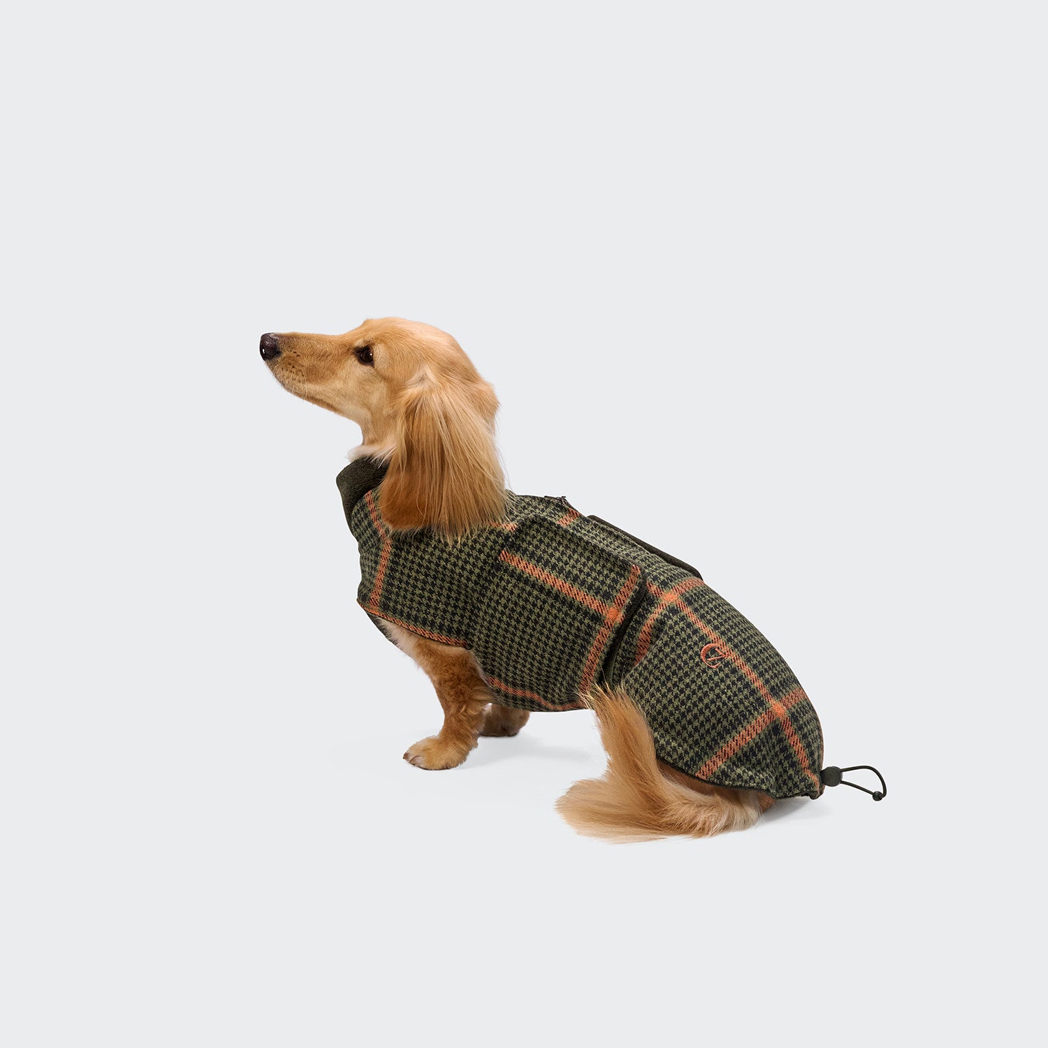 Ein kleiner hellbrauner Dackel sitzt im Profil und trägt den Hundemantel „Dackel Brooklyn Flannel Tartan Green“ – eine kuschelige Hundejacke, ideal für kühle Tage –, vor einem schlichten hellgrauen Hintergrund.