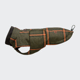 Dachshund Coat Brooklyn Flannel Tartan Green