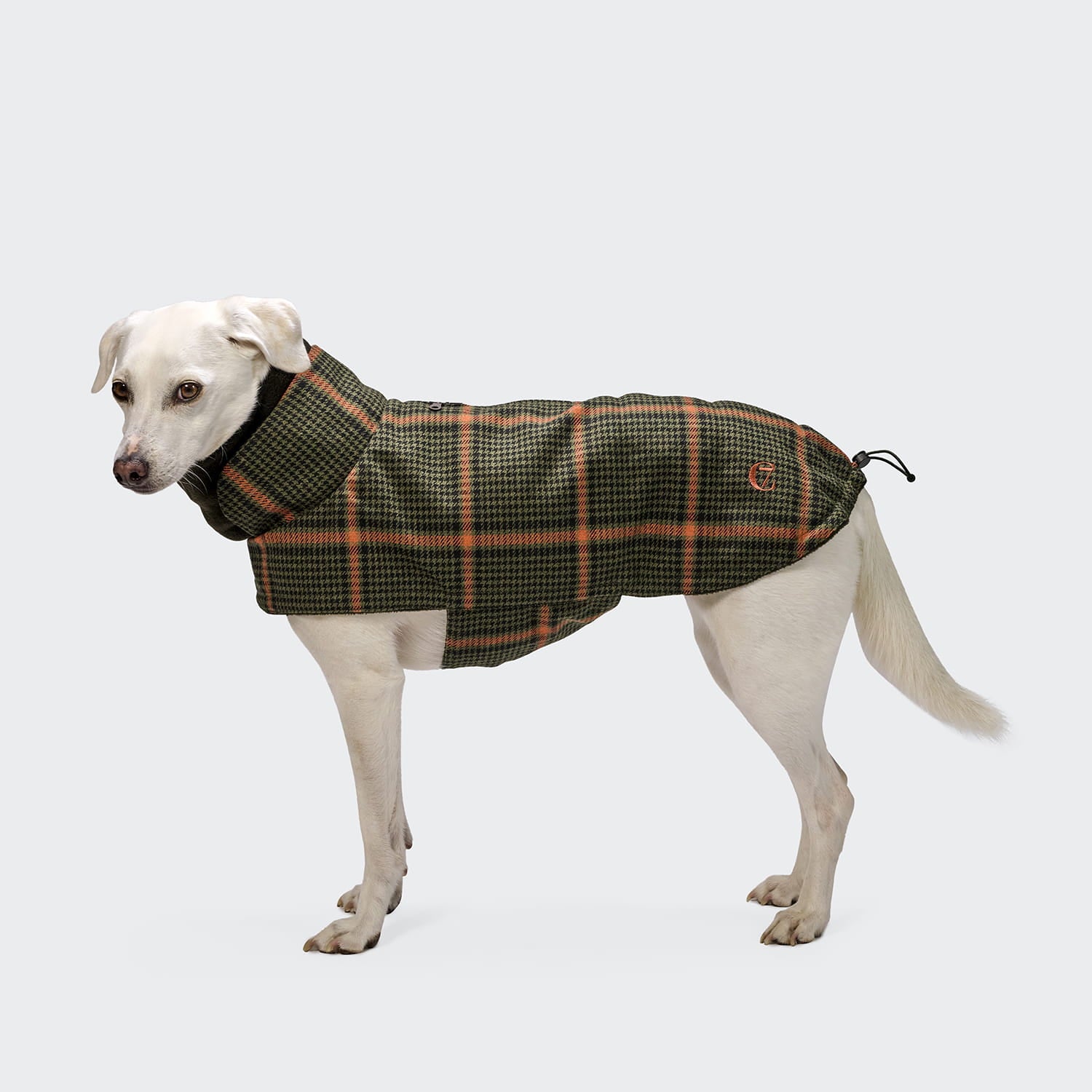 Ein weißer Hund, der den Hundemantel „Brooklyn Flannel Tartan Green“ trägt, steht auf einem hellgrauen Hintergrund und blickt nach links. Die warme Hundejacke hat einen hohen Kragen und schmiegt sich eng an den Körper des Hundes an.