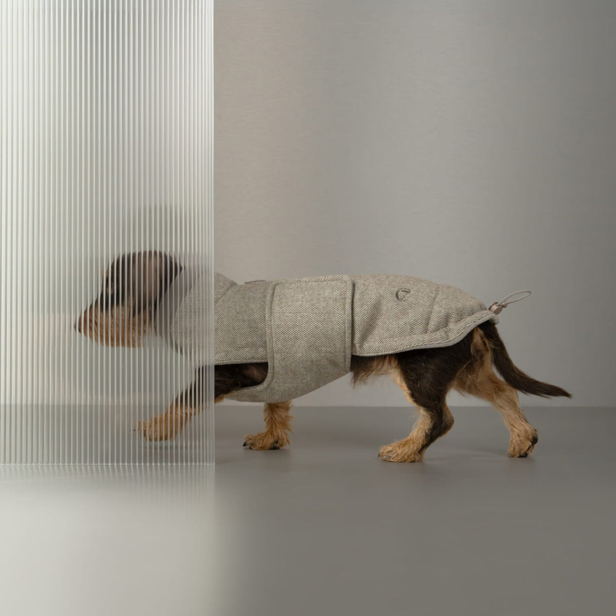 Dachshund Coat Brooklyn Tweed Beige