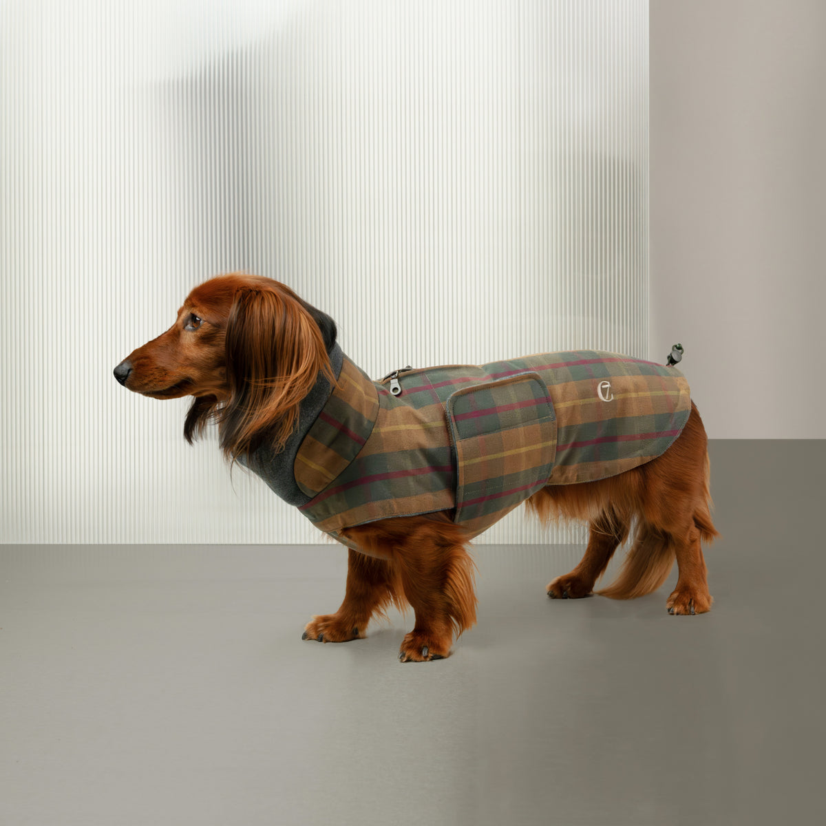 Dachshund Coat Brooklyn Waxed Tartan