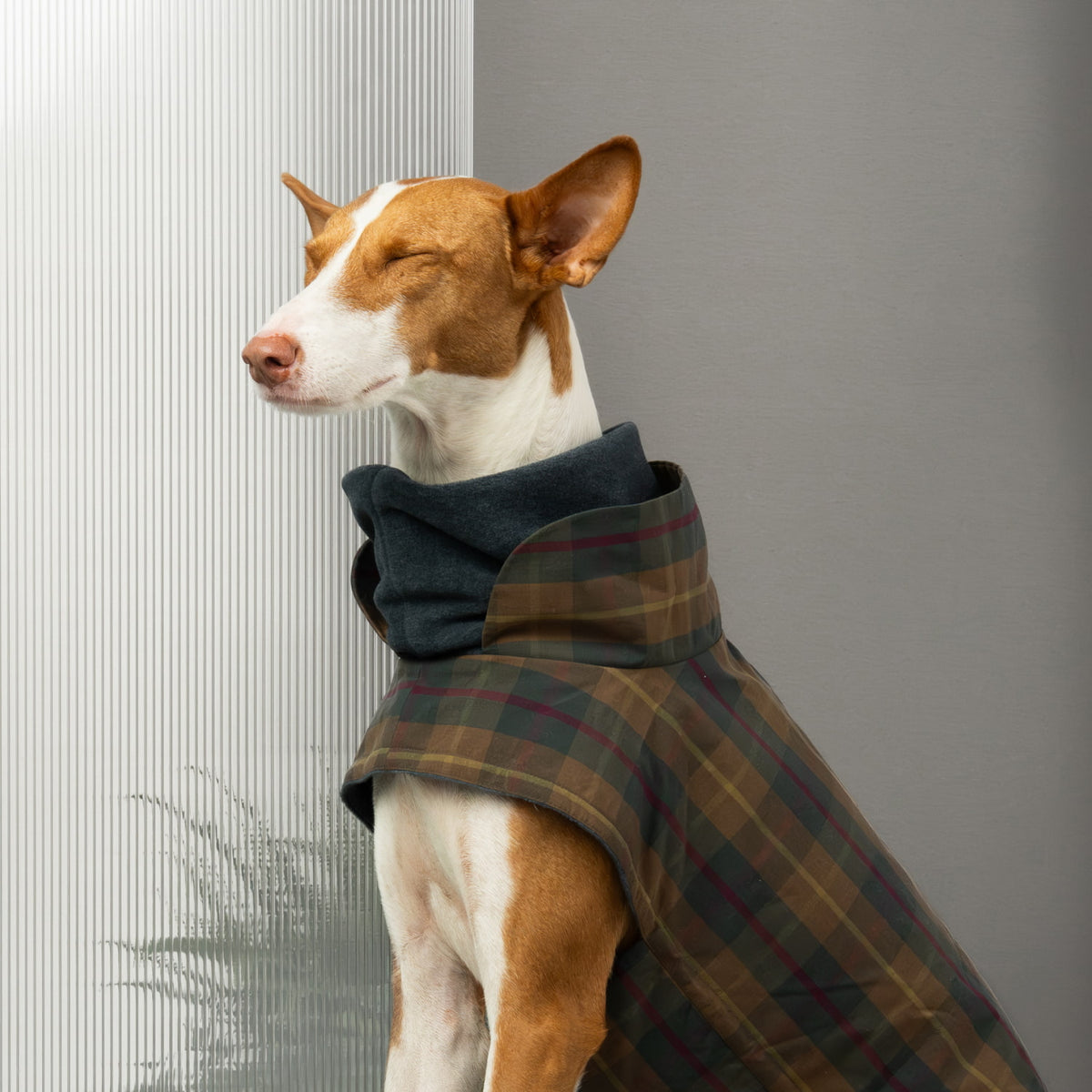 Dog Coat Brooklyn Waxed Tartan