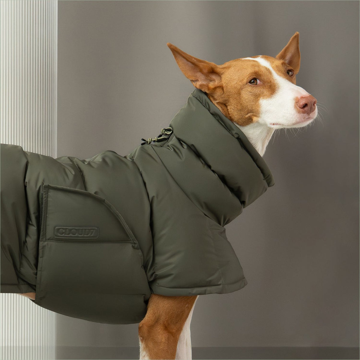 Hundemantel Everest Light Olive