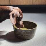 Dog Bowl Alain Avocado