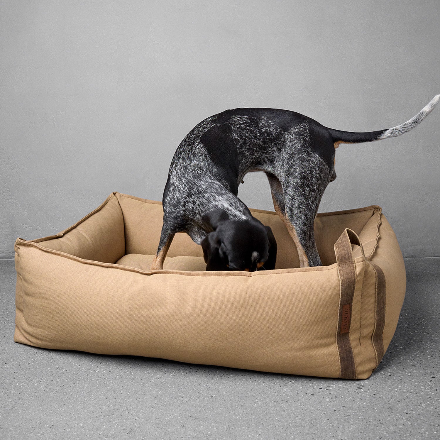 dog standing in dog bed Boost in colour beige