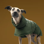 Dog wearing Dog Coat Everest in olive green