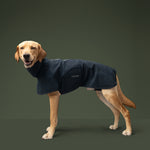 dog wearing navy blue  dog raincoat Helgoland