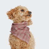 Dog Bandana Check Red - Light Green