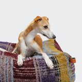Hundebett Cube Tartan Purple