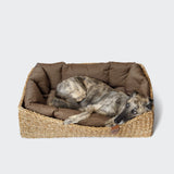 Dog Basket Hideaway Canvas Hazelnut