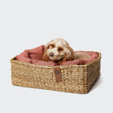 Dog Basket Hideaway Canvas Indian Red