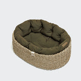 Dog Basket Lazy Canvas Olive