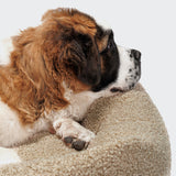 Hundebett Sleepy Deluxe Curl Cream