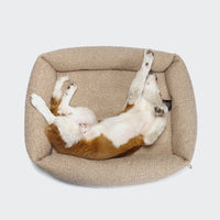 Dog Bed Sleepy Deluxe Curl Cream