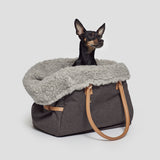 Small dog sitting in Dog Carrier Como