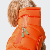 Hundemantel Alaska Burnt Orange