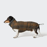 Dachshund Coat Brooklyn Waxed Tartan