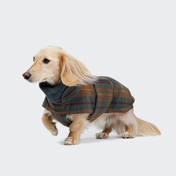 Buy Dog Coat Brooklyn Dachshund Waxed Tartan online| CLOUD7