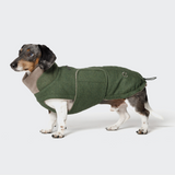 Dachshund Coat Brooklyn Flannel Fern Green