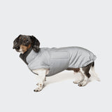 Dachshund Coat Brooklyn Reflective