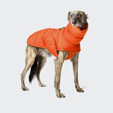 Sighthound Dog Coat Alaska Burnt Orange