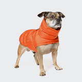 French Bulldog Coat Alaska Burnt Orange