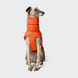 Sighthound Dog Coat Alaska Burnt Orange