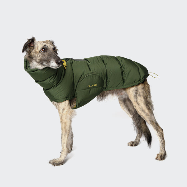 Hundemantel, Hundeoverall, DogGear, Windhund outlet