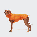 Dog Coat Yukon Neon Orange