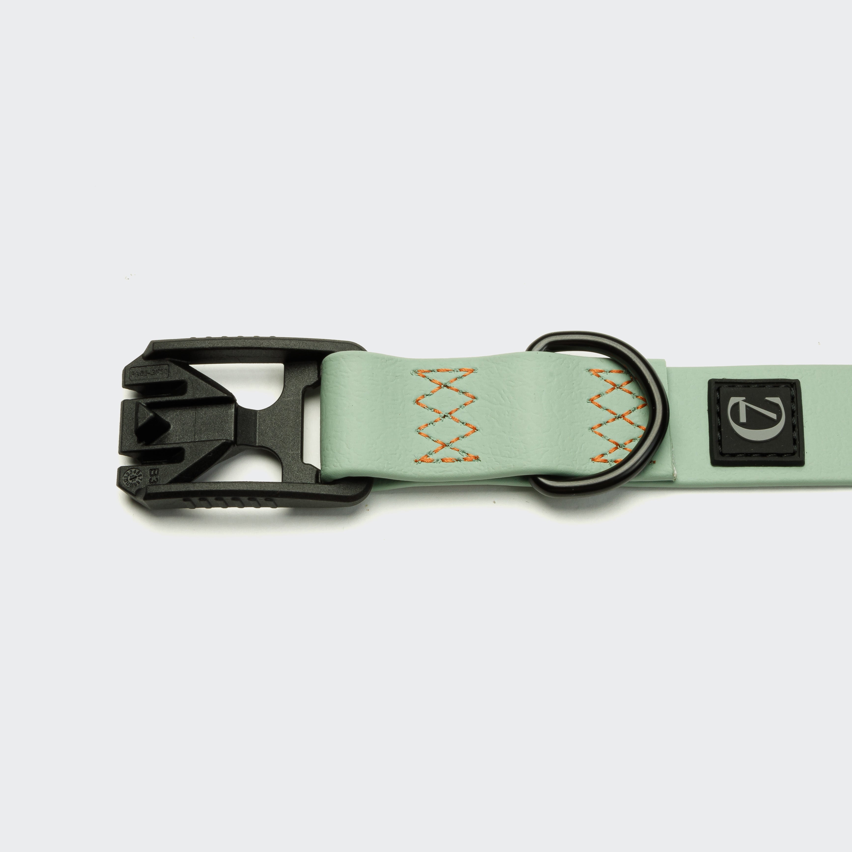 Detail of Dog Collar Biothane Mint 