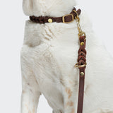 Hundeleine Riverside Park Saddle Brown Gold