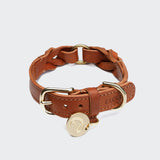 Dog Collar Hyde Park Cognac