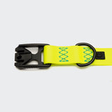 Dog Collar BioThane Ipanema Neon Yellow-Aqua