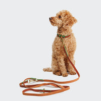 Hundeleine Prince Park Cognac/Green