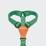 Dog Harness Madeira Amber 2