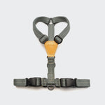 Dog Harness Madeira in Grey 2