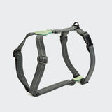 Dog Harness Madeira Mint olive green/mint green