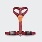 Dog Harness Madeira Papaya 3