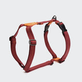 Dog Harness Madeira Papaya orange/rusty red