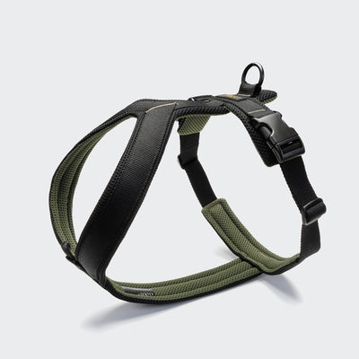 CLOUD7_ Das Y-1 Geschirr AKTIV Air-Mesh Black ist ein grünes und schwarzes, atmungsaktives Hundegeschirr mit verstellbaren Gurten, Kunststoffverschluss und Metallring zur Leinenbefestigung auf hellgrauem Hintergrund.