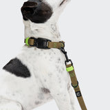 Hands Free Dog Leash BioThane Ipanema Olive-Neon Green
